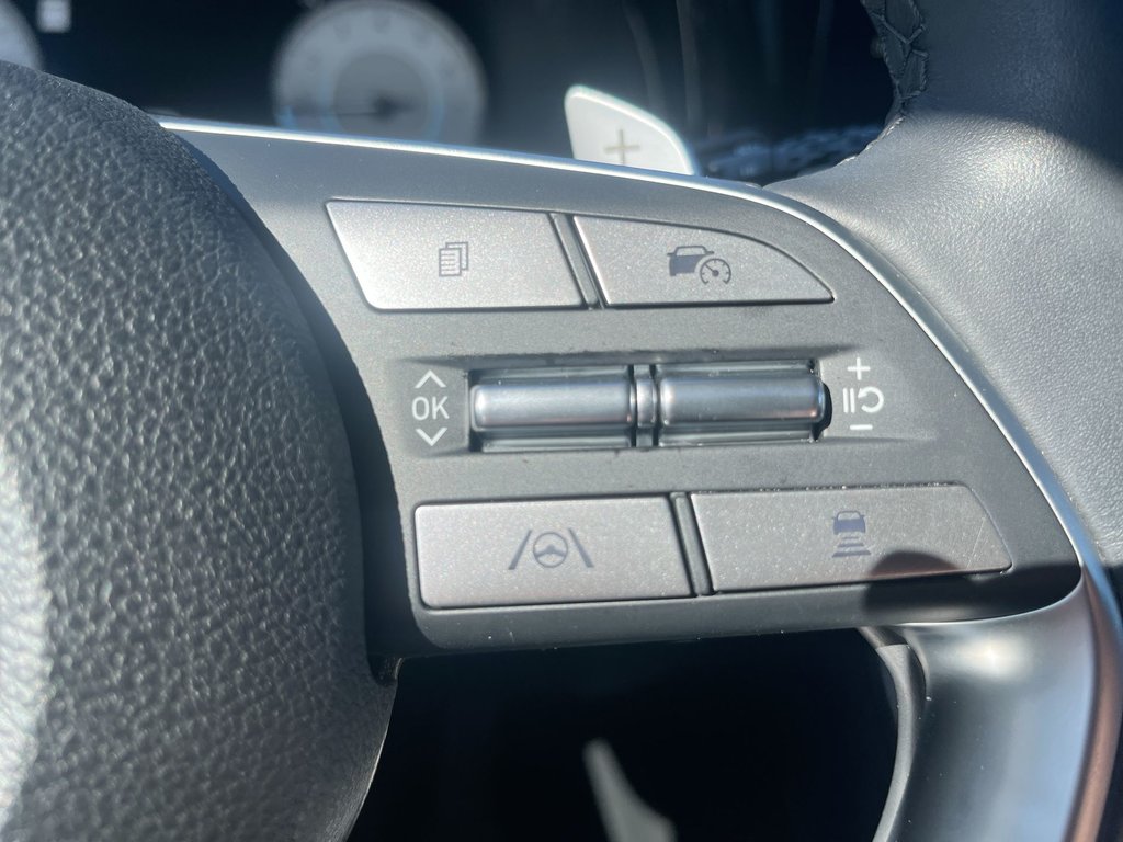 2024 Hyundai Palisade in Antigonish, Nova Scotia - 21 - w1024h768px
