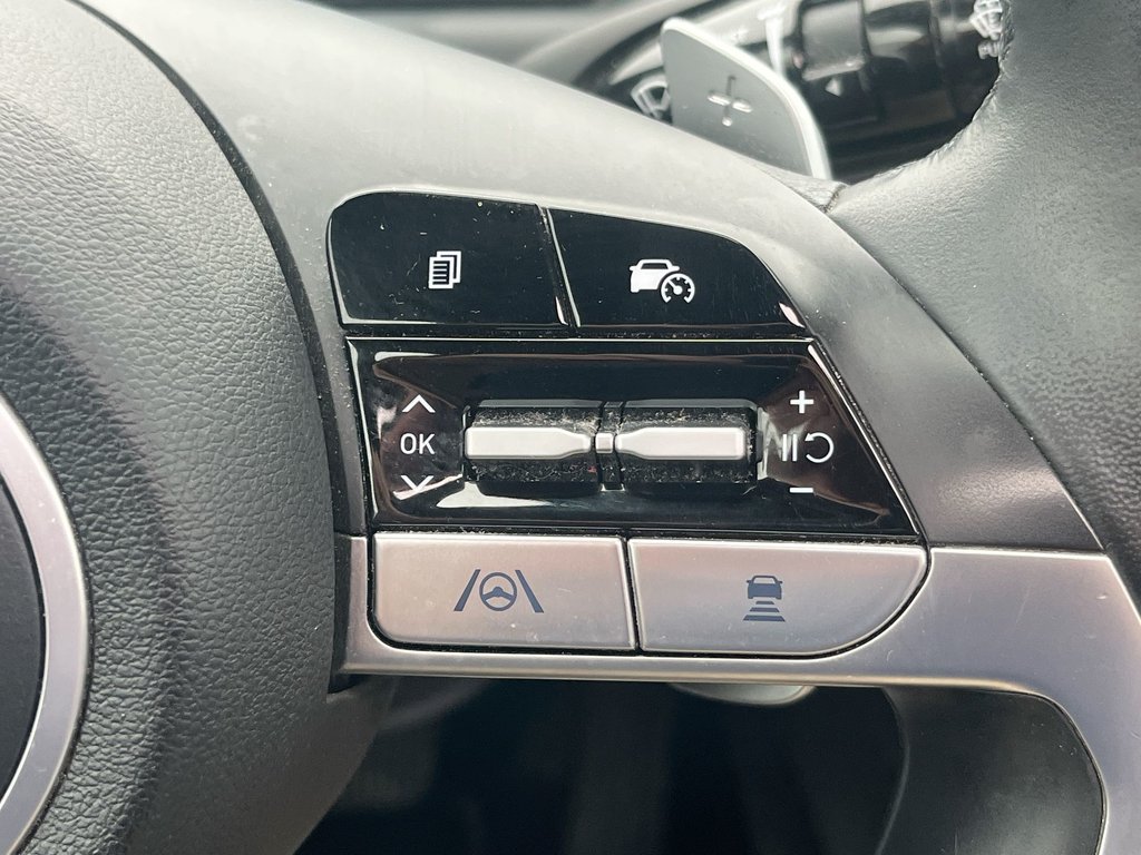 2022 Hyundai Santa Cruz Preferred | Trend | Leather | Roof | Nav | Cam in Saint John, New Brunswick - 21 - w1024h768px
