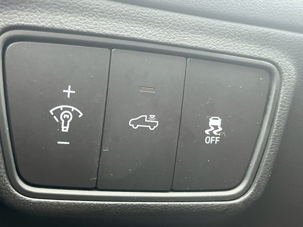 2022 Hyundai Santa Cruz Preferred | Trend | Leather | Roof | Nav | Cam in Saint John, New Brunswick - 22 - w1024h768px