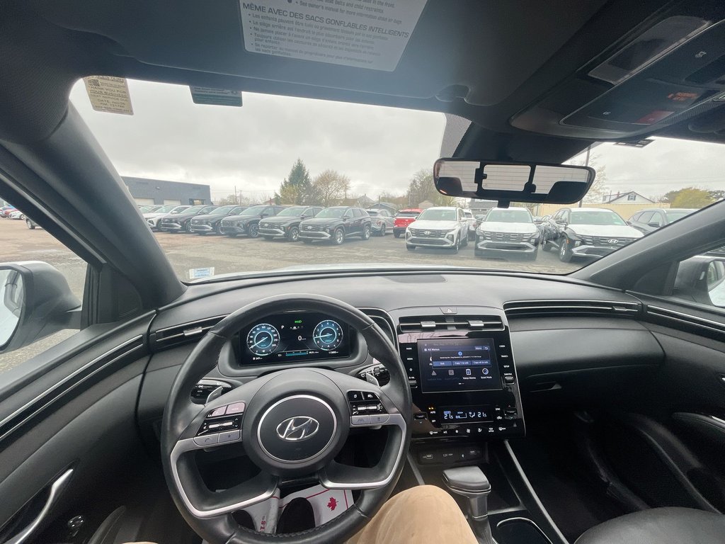 2022 Hyundai Santa Cruz Preferred | Trend | Leather | Roof | Nav | Cam in Saint John, New Brunswick - 12 - w1024h768px