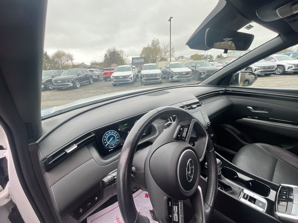 2022 Hyundai Santa Cruz Preferred | Trend | Leather | Roof | Nav | Cam in Saint John, New Brunswick - 16 - w1024h768px
