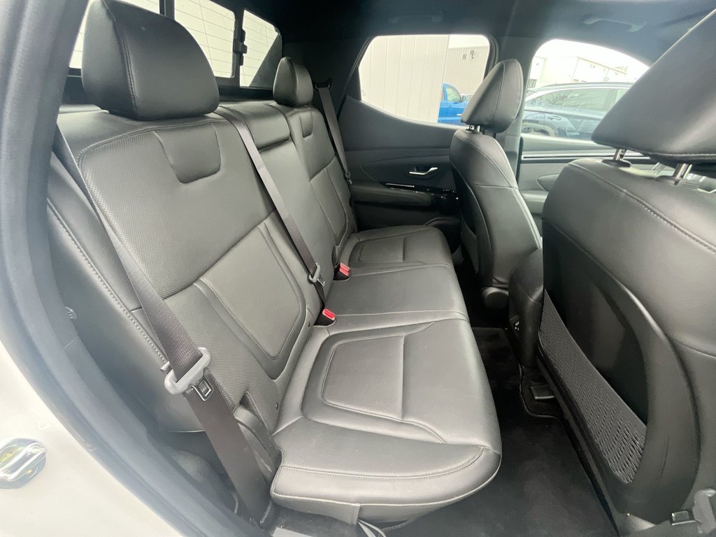2022 Hyundai Santa Cruz Preferred | Trend | Leather | Roof | Nav | Cam in Saint John, New Brunswick - 36 - w1024h768px