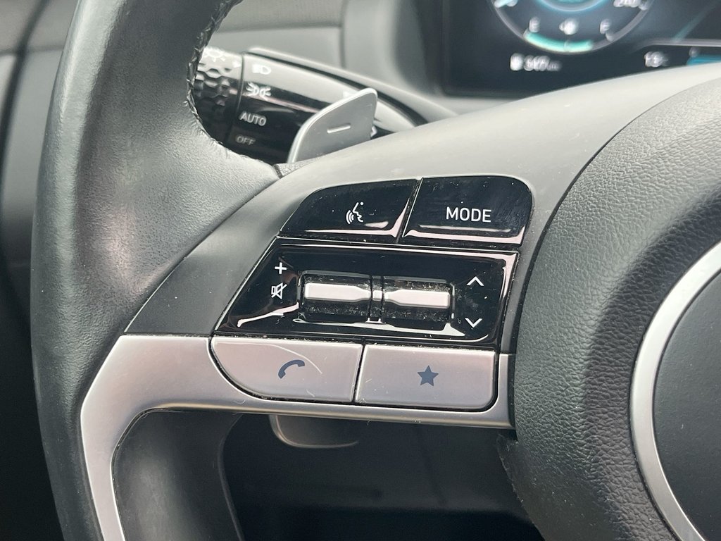 2022 Hyundai Santa Cruz Preferred | Trend | Leather | Roof | Nav | Cam in Saint John, New Brunswick - 20 - w1024h768px