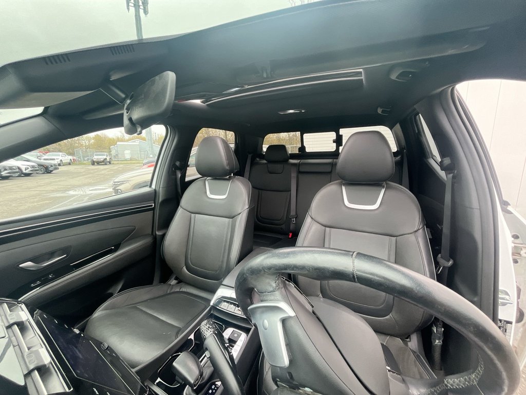 2022 Hyundai Santa Cruz Preferred | Trend | Leather | Roof | Nav | Cam in Saint John, New Brunswick - 13 - w1024h768px