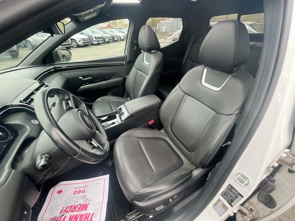 2022 Hyundai Santa Cruz Preferred | Trend | Leather | Roof | Nav | Cam in Saint John, New Brunswick - 11 - w1024h768px