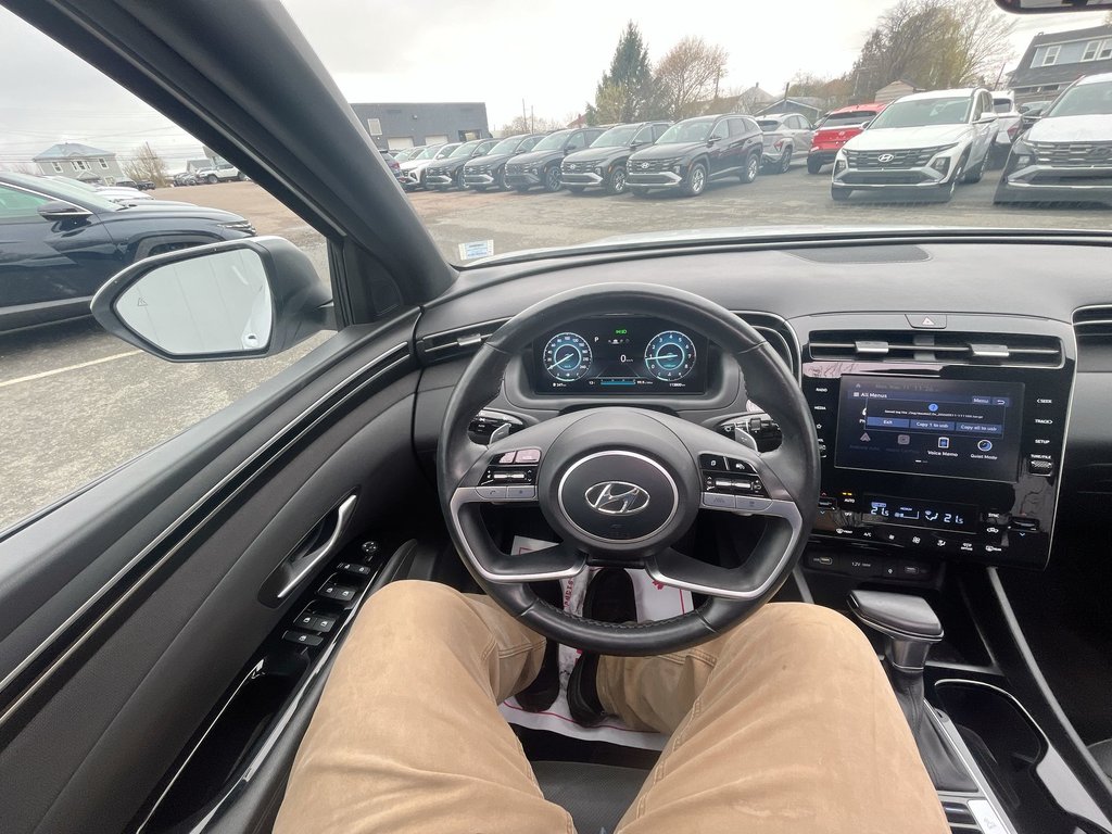 2022 Hyundai Santa Cruz Preferred | Trend | Leather | Roof | Nav | Cam in Saint John, New Brunswick - 17 - w1024h768px