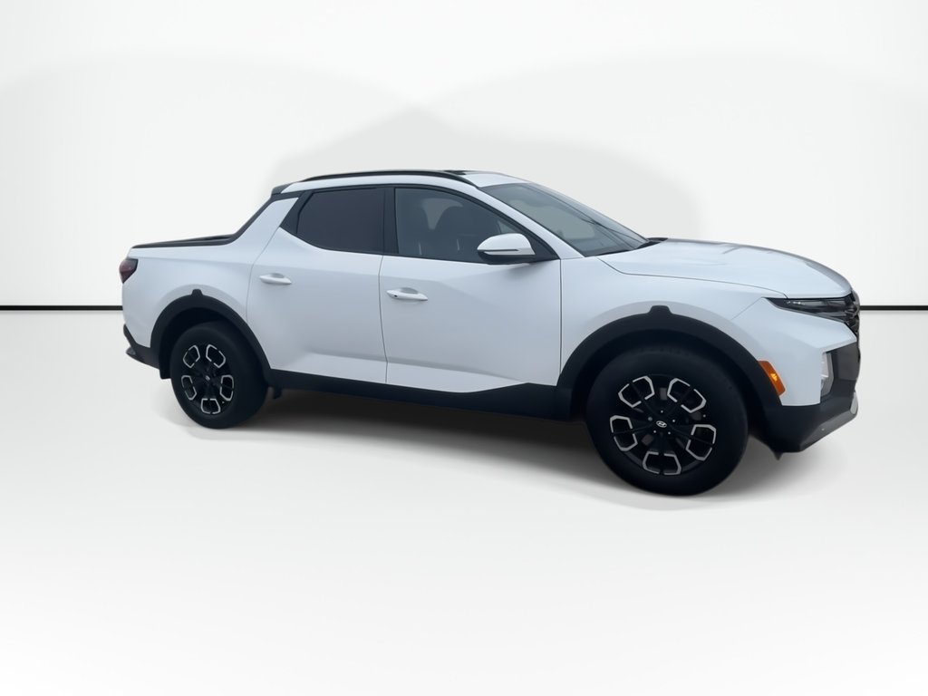 2022 Hyundai Santa Cruz Preferred | Trend | Leather | Roof | Nav | Cam in Saint John, New Brunswick - 2 - w1024h768px