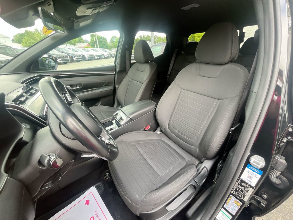 2023 Hyundai Santa Cruz in Antigonish, Nova Scotia - 11 - w1024h768px