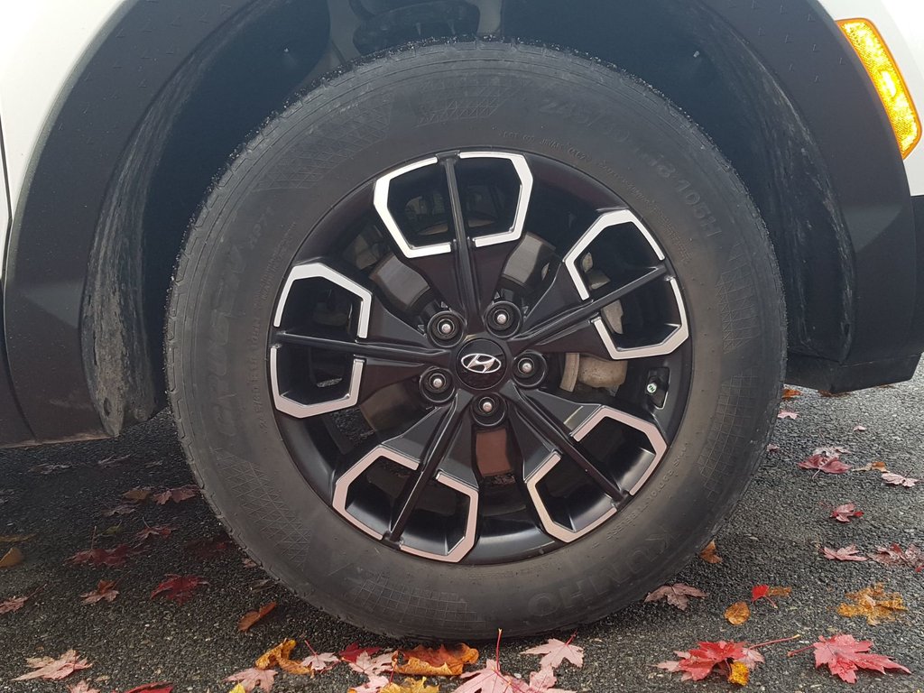 2024 Hyundai SANTA CRUZ Preferred | Cam | USB | HtdWheel | Bluetooth in Saint John, New Brunswick - 13 - w1024h768px