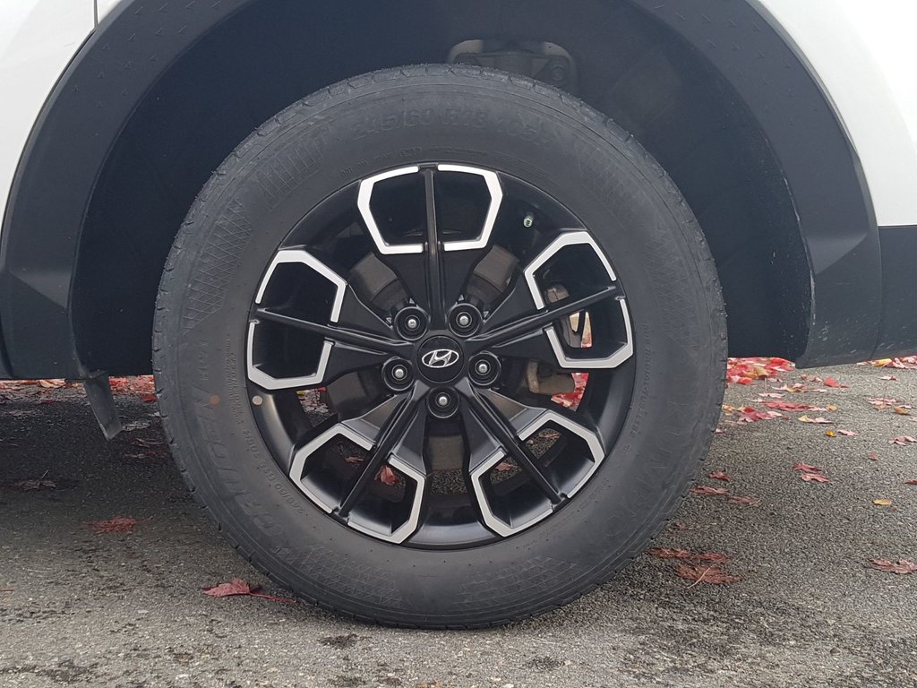 2024 Hyundai SANTA CRUZ Preferred | Cam | USB | HtdWheel | Bluetooth in Saint John, New Brunswick - 11 - w1024h768px