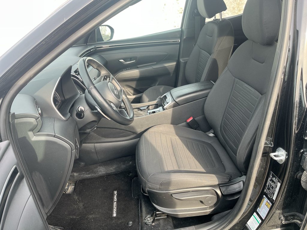 2024 Hyundai Santa Cruz in Antigonish, Nova Scotia - 11 - w1024h768px