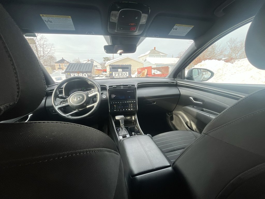 2024 Hyundai Santa Cruz in Antigonish, Nova Scotia - 16 - w1024h768px
