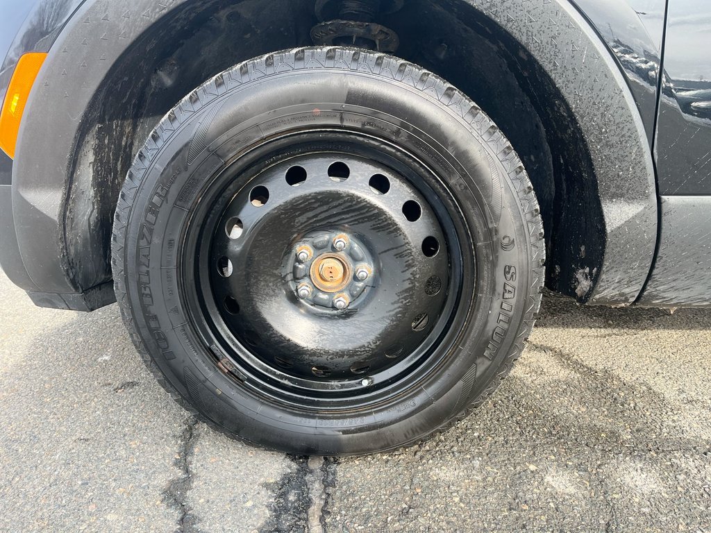 2024 Hyundai Santa Cruz in Antigonish, Nova Scotia - 10 - w1024h768px