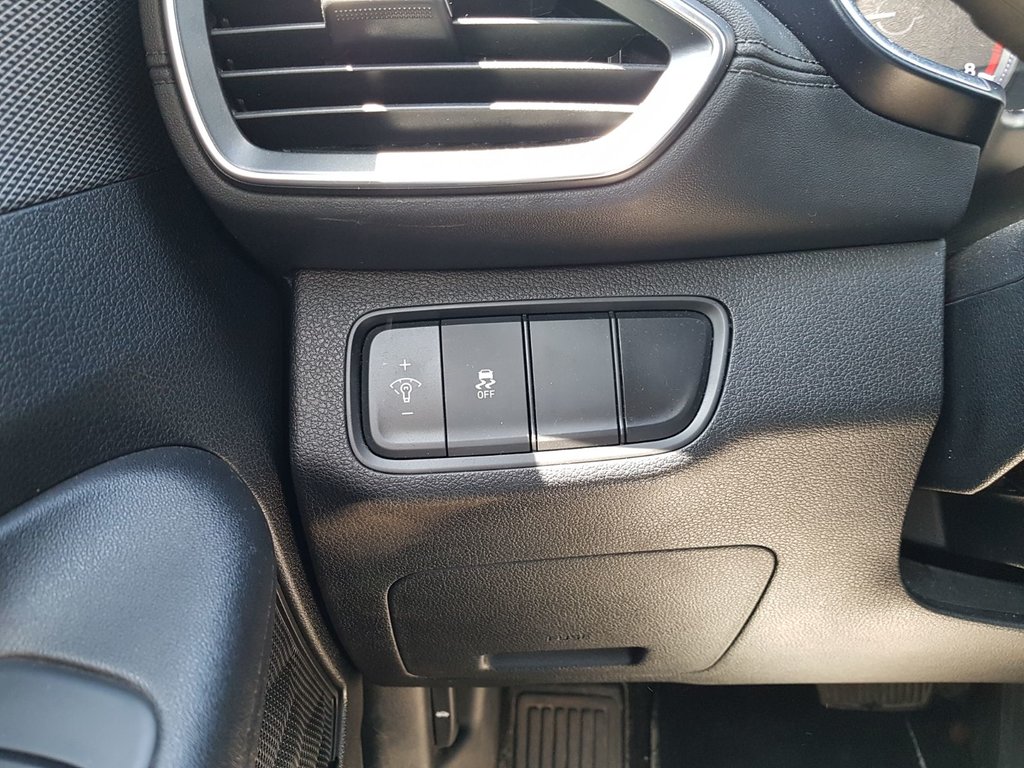 2019 Hyundai Santa Fe Essential | Cam | USB | Htd. Wheel | Bluetooth in Saint John, New Brunswick - 18 - w1024h768px