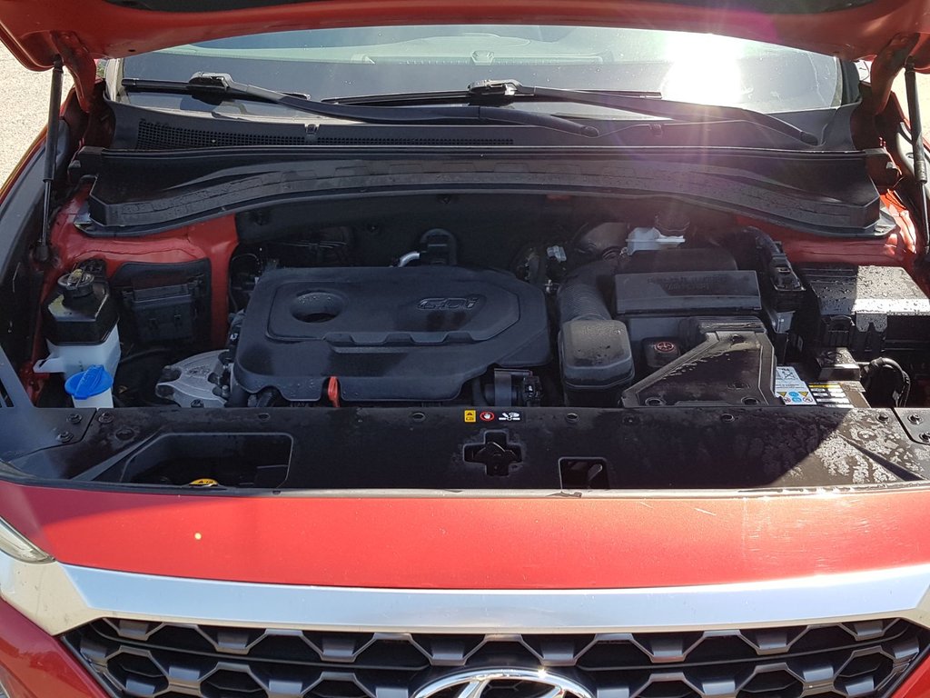 2019 Hyundai Santa Fe Essential | Cam | USB | Htd. Wheel | Bluetooth in Saint John, New Brunswick - 13 - w1024h768px