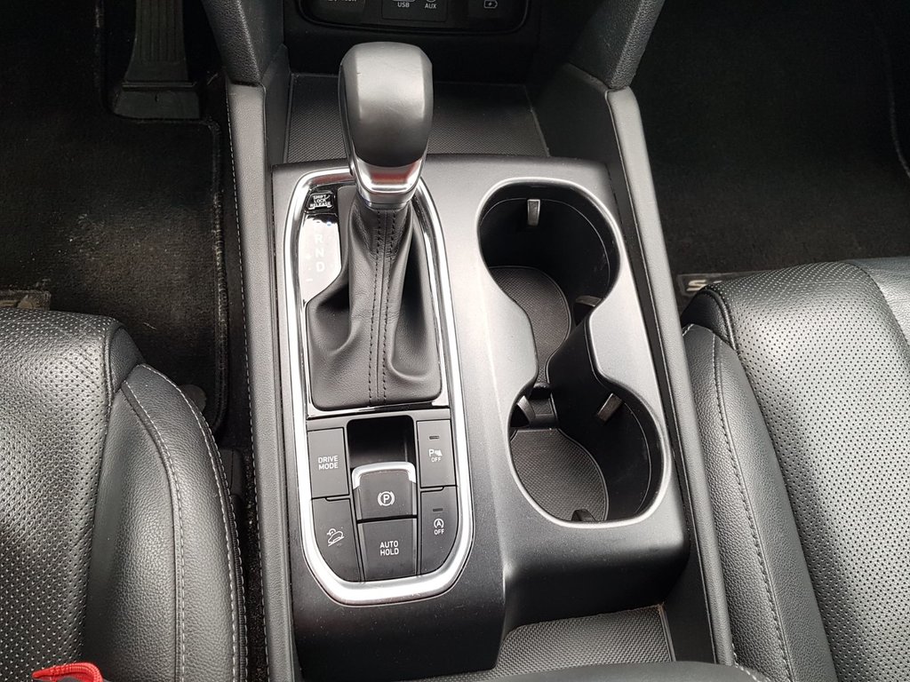 2020 Hyundai Santa Fe Preferred | Leather | Roof | Cam | USB | HtdWheel in Saint John, New Brunswick - 17 - w1024h768px