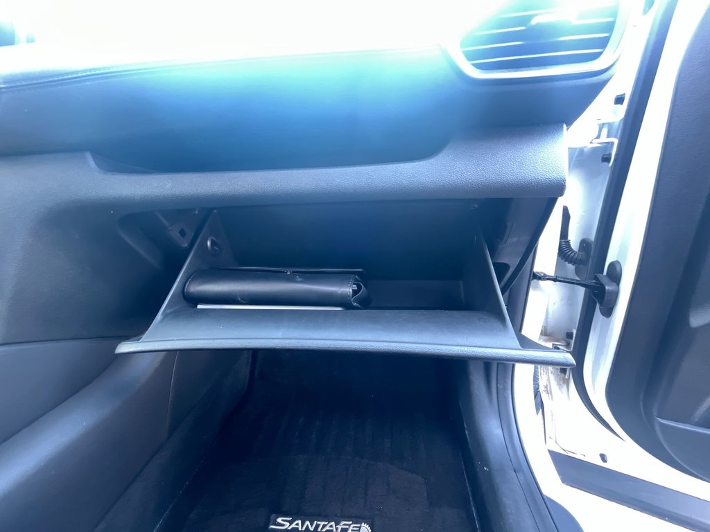 Hyundai Santa Fe Preferred | USB | Keyless | Cruise | Power Windows 2020 à Saint John, Nouveau-Brunswick - 42 - w1024h768px