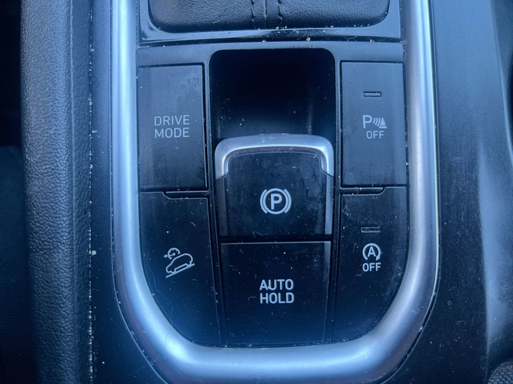 Hyundai Santa Fe Preferred | USB | Keyless | Cruise | Power Windows 2020 à Saint John, Nouveau-Brunswick - 30 - w1024h768px