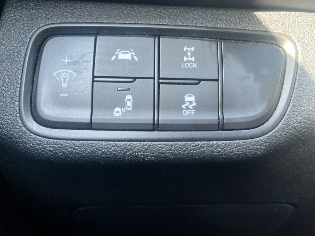 Hyundai Santa Fe Preferred | USB | Keyless | Cruise | Power Windows 2020 à Saint John, Nouveau-Brunswick - 22 - w1024h768px