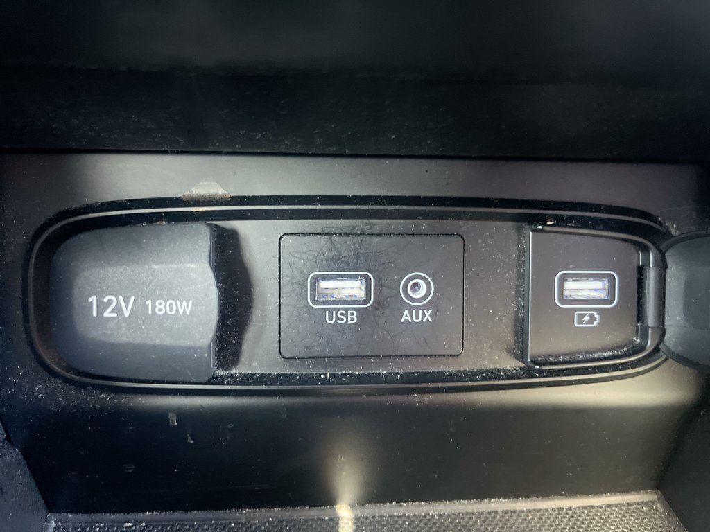 Hyundai Santa Fe Preferred | USB | Keyless | Cruise | Power Windows 2020 à Saint John, Nouveau-Brunswick - 44 - w1024h768px