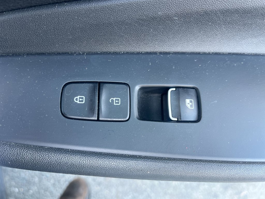 Hyundai Santa Fe Preferred | USB | Keyless | Cruise | Power Windows 2020 à Saint John, Nouveau-Brunswick - 45 - w1024h768px