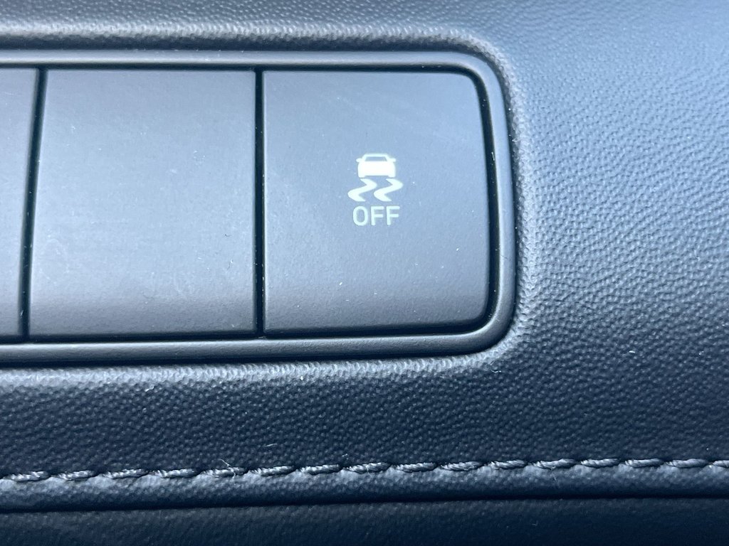 2021 Hyundai Santa Fe Preferred | Leather | Roof | Cam | USB | HtdWheel in Saint John, New Brunswick - 22 - w1024h768px