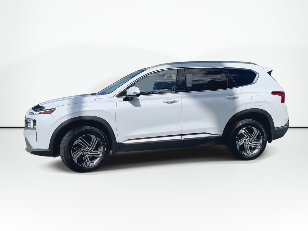 2021 Hyundai Santa Fe Preferred | Trend | Roof | Cam | USB | HtdWheel in Saint John, New Brunswick - 5 - w1024h768px