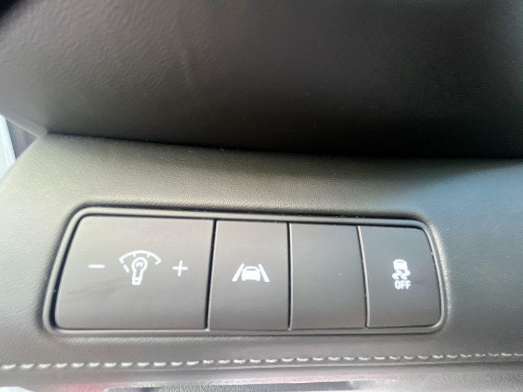 2021 Hyundai Santa Fe Preferred | Trend | Roof | Cam | USB | HtdWheel in Saint John, New Brunswick - 22 - w1024h768px