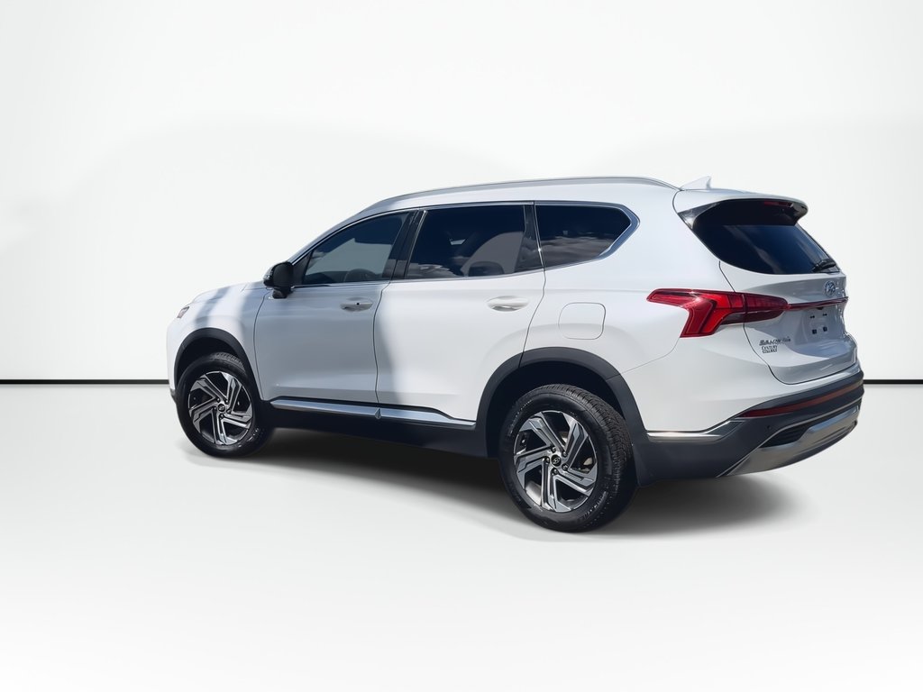 2021 Hyundai Santa Fe Preferred | Trend | Roof | Cam | USB | HtdWheel in Saint John, New Brunswick - 6 - w1024h768px