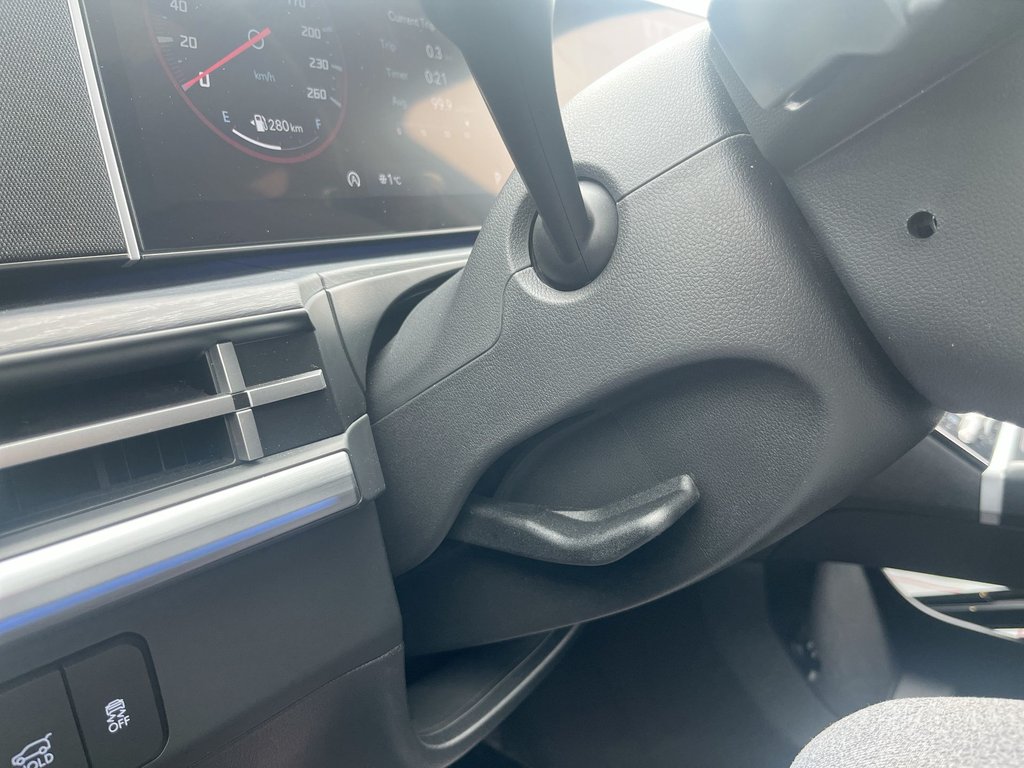 2025 Hyundai Santa Fe Luxury | Leather | Roof | HtdWheel in Saint John, New Brunswick - 19 - w1024h768px