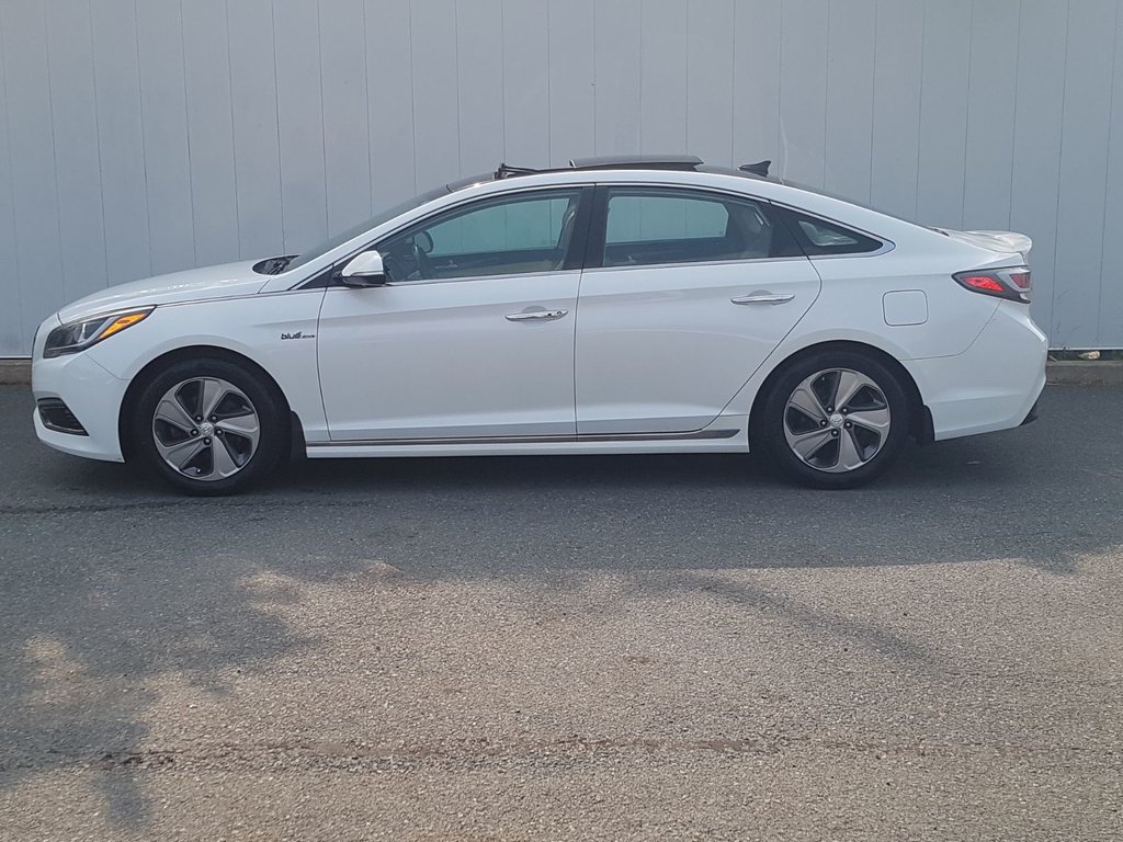 2016 Hyundai Sonata Hybrid Limited | Leather | Roof | Nav | Cam | USB in Saint John, New Brunswick - 4 - w1024h768px