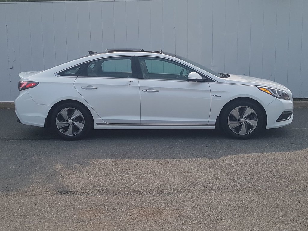 2016 Hyundai Sonata Hybrid Limited | Leather | Roof | Nav | Cam | USB in Saint John, New Brunswick - 2 - w1024h768px