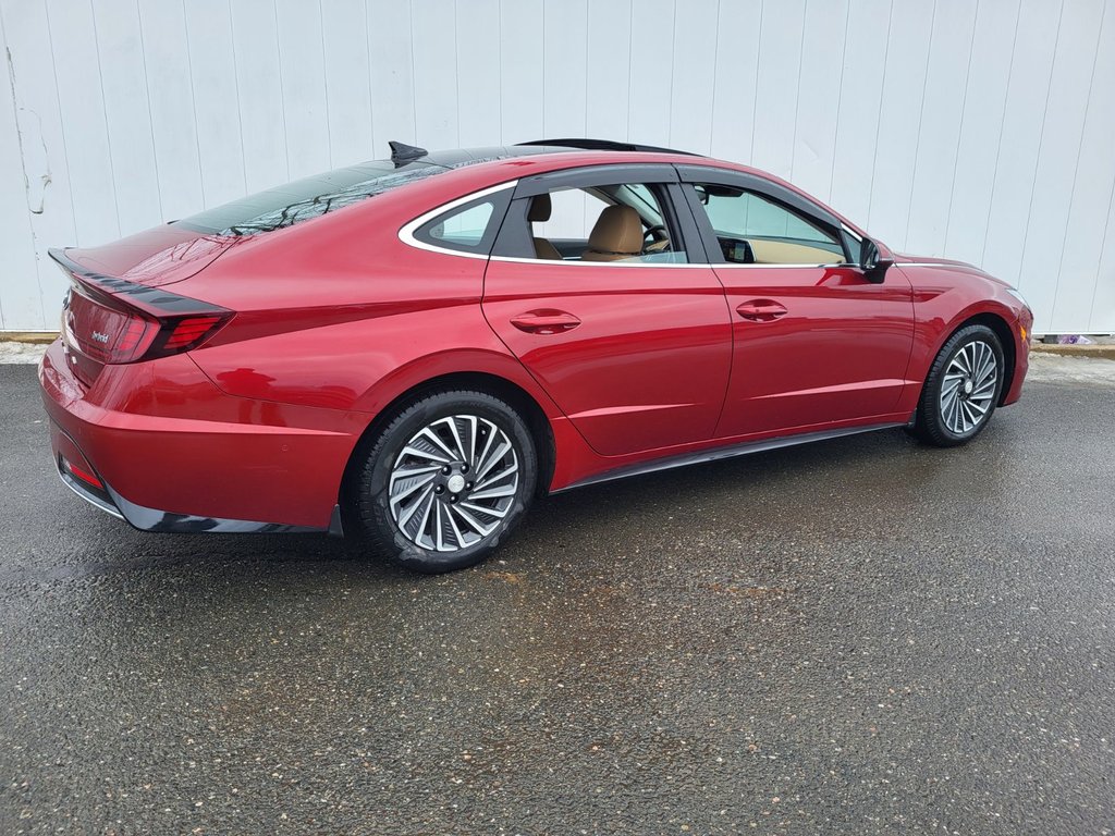 Hyundai Sonata Hybrid Ultimate | HEV | Leather | Nav | Warranty to 2031 2023 à Saint John, Nouveau-Brunswick - 3 - w1024h768px