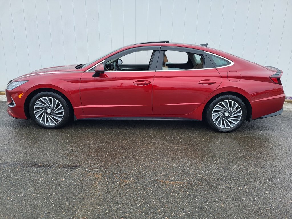 Hyundai Sonata Hybrid Ultimate | HEV | Leather | Nav | Warranty to 2031 2023 à Saint John, Nouveau-Brunswick - 6 - w1024h768px