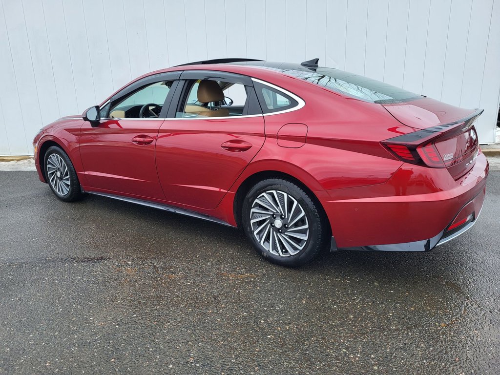 Hyundai Sonata Hybrid Ultimate | HEV | Leather | Nav | Warranty to 2031 2023 à Saint John, Nouveau-Brunswick - 5 - w1024h768px