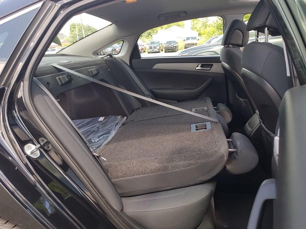 2017 Hyundai Sonata GLS | Sunroof | Cam | USB | Htd. Wheel in Saint John, New Brunswick - 43 - w1024h768px
