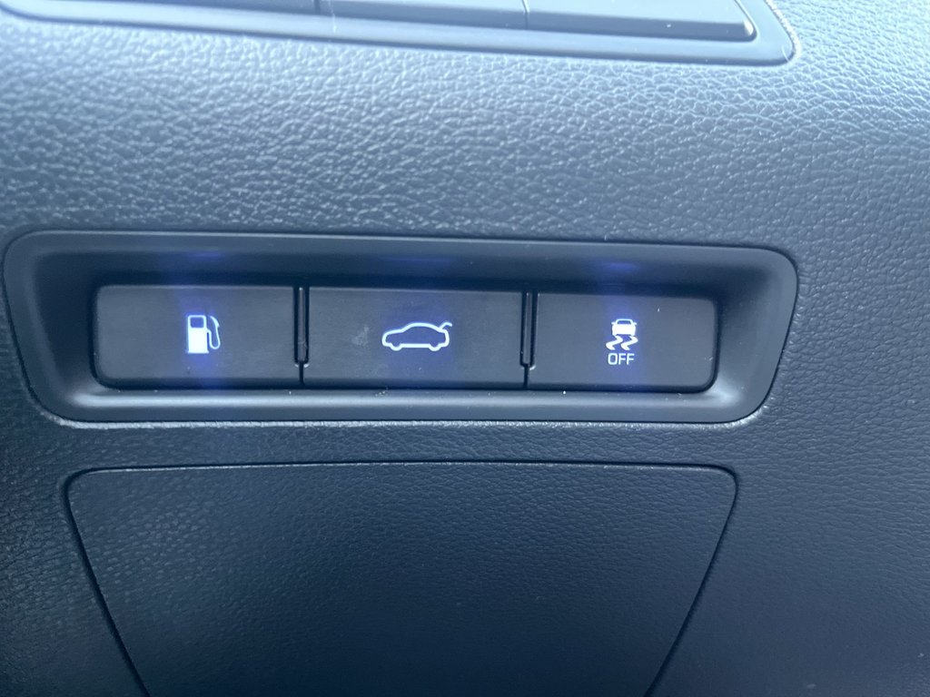 2017 Hyundai Sonata 2.4L GL | Cam | USB | HtdSeats | Bluetooth in Saint John, New Brunswick - 22 - w1024h768px