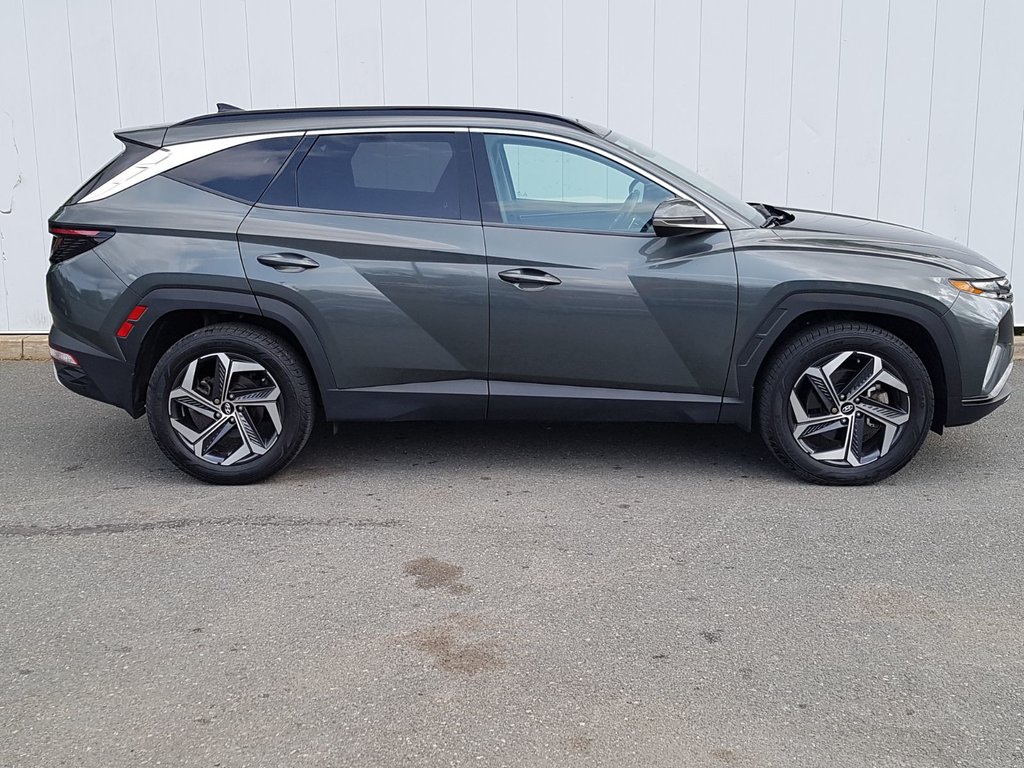 2022 Hyundai Tucson Hybrid Luxury | Leather | Roof | Cam | USB | Htd. Wheel in Saint John, New Brunswick - 2 - w1024h768px