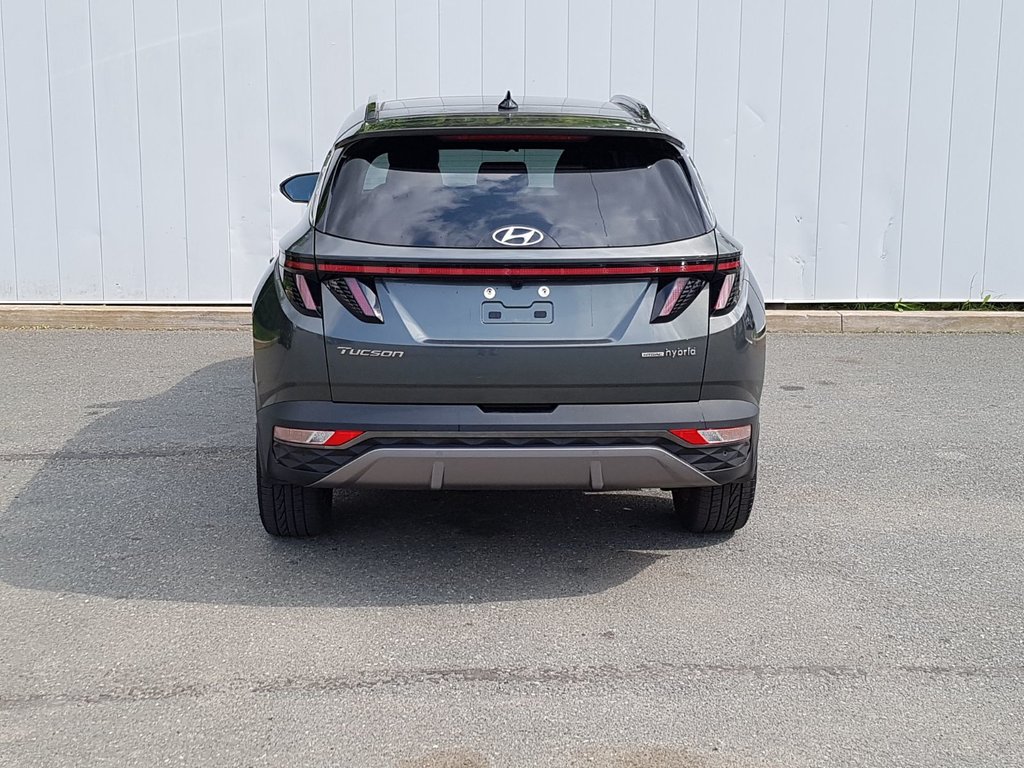 2022 Hyundai Tucson Hybrid Luxury | Leather | Roof | Cam | USB | Htd. Wheel in Saint John, New Brunswick - 4 - w1024h768px