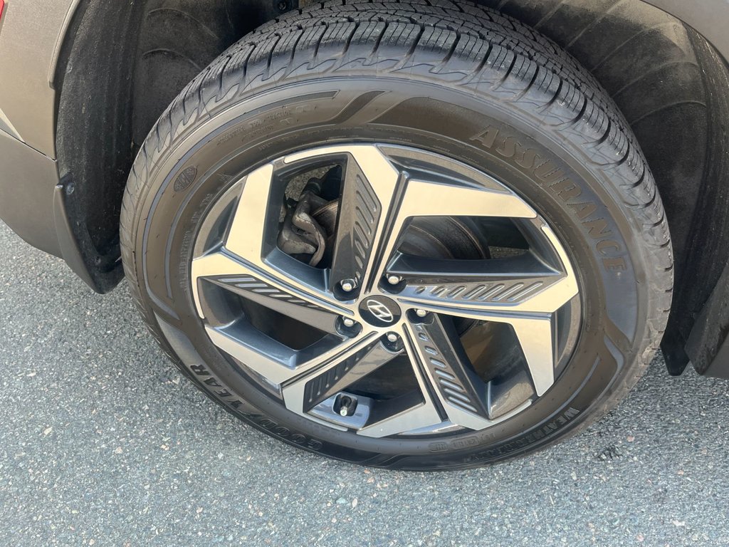 2022 Hyundai Tucson Hybrid Luxury | Leather | Roof | Cam | USB | Htd. Wheel in Saint John, New Brunswick - 11 - w1024h768px