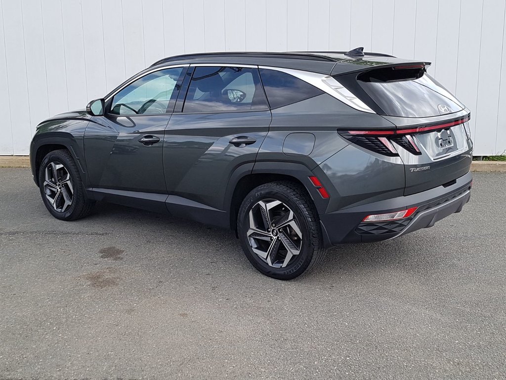 2022 Hyundai Tucson Hybrid Luxury | Leather | Roof | Cam | USB | Htd. Wheel in Saint John, New Brunswick - 5 - w1024h768px