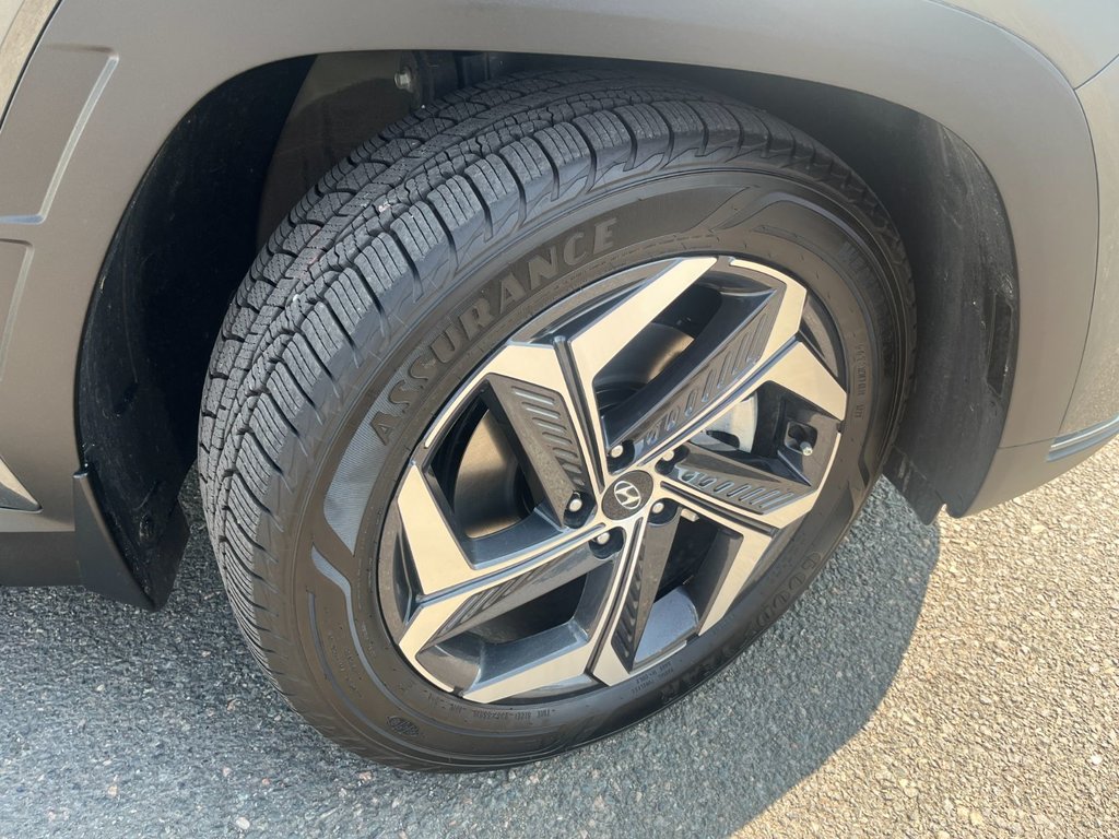 2022 Hyundai Tucson Hybrid Luxury | Leather | Roof | Cam | USB | Htd. Wheel in Saint John, New Brunswick - 10 - w1024h768px