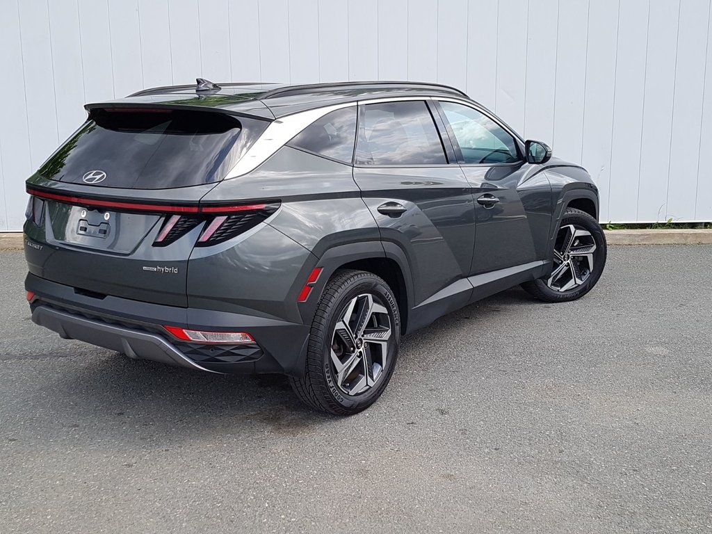 2022 Hyundai Tucson Hybrid Luxury | Leather | Roof | Cam | USB | Htd. Wheel in Saint John, New Brunswick - 3 - w1024h768px