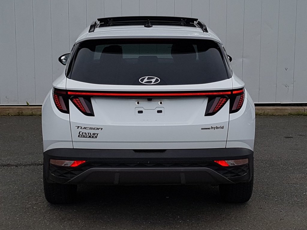 2022 Hyundai Tucson Hybrid Ultimate | Leather | Roof | Nav | Cam | USB in Saint John, New Brunswick - 4 - w1024h768px