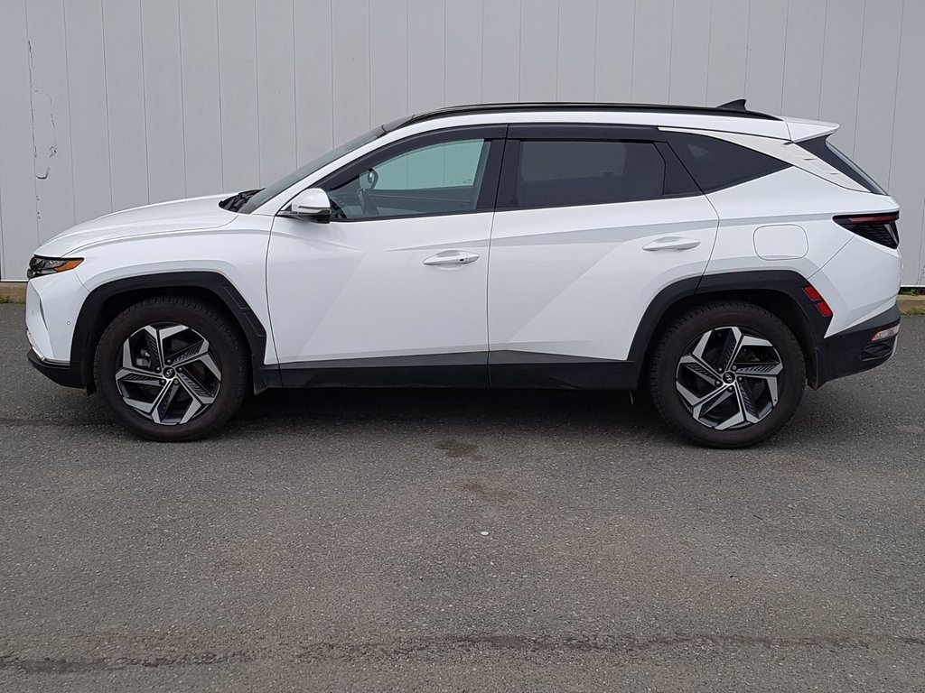 2022 Hyundai Tucson Hybrid Ultimate | Leather | Roof | Nav | Cam | USB in Saint John, New Brunswick - 6 - w1024h768px