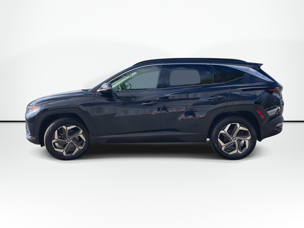 2022 Hyundai Tucson Hybrid in Antigonish, Nova Scotia - 5 - w1024h768px