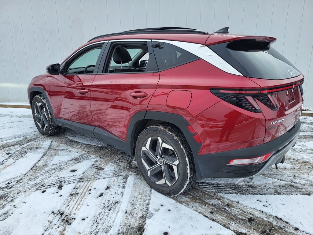 2023 Hyundai Tucson Hybrid Luxury | HEV | Leather | Roof | Warranty to 2031 in Saint John, New Brunswick - 5 - w1024h768px