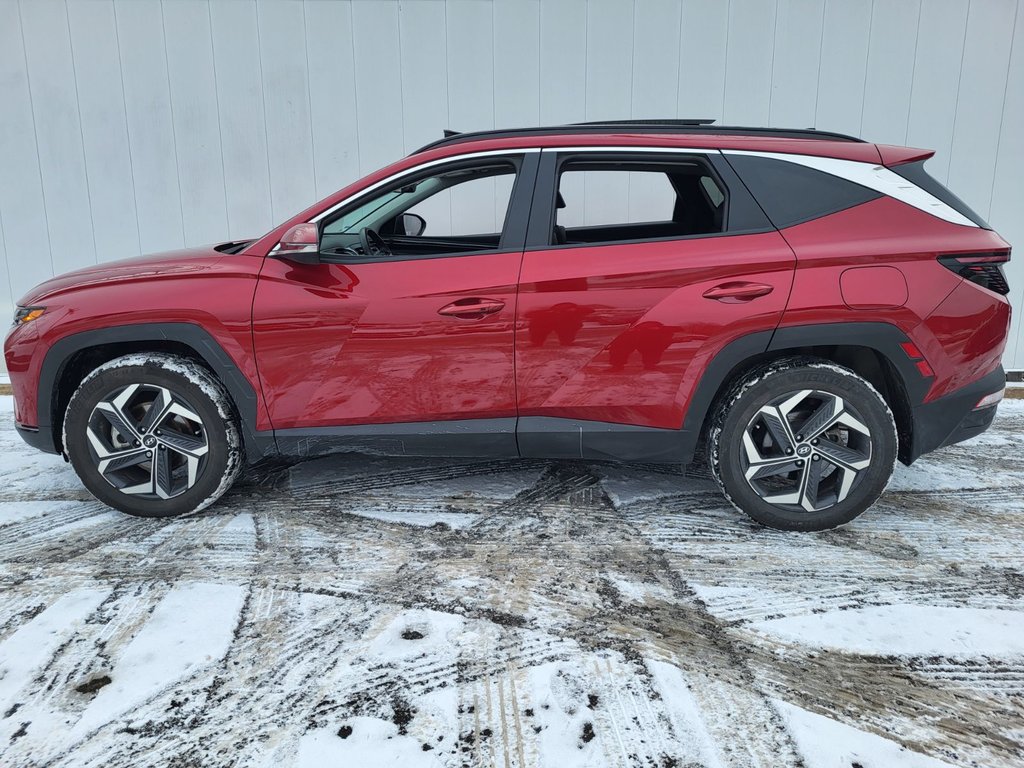 2023 Hyundai Tucson Hybrid Luxury | HEV | Leather | Roof | Warranty to 2031 in Saint John, New Brunswick - 6 - w1024h768px