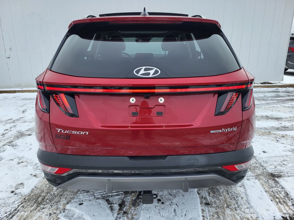 2023 Hyundai Tucson Hybrid Luxury | HEV | Leather | Roof | Warranty to 2031 in Saint John, New Brunswick - 4 - w1024h768px