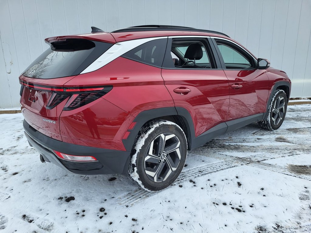 2023 Hyundai Tucson Hybrid Luxury | HEV | Leather | Roof | Warranty to 2031 in Saint John, New Brunswick - 3 - w1024h768px